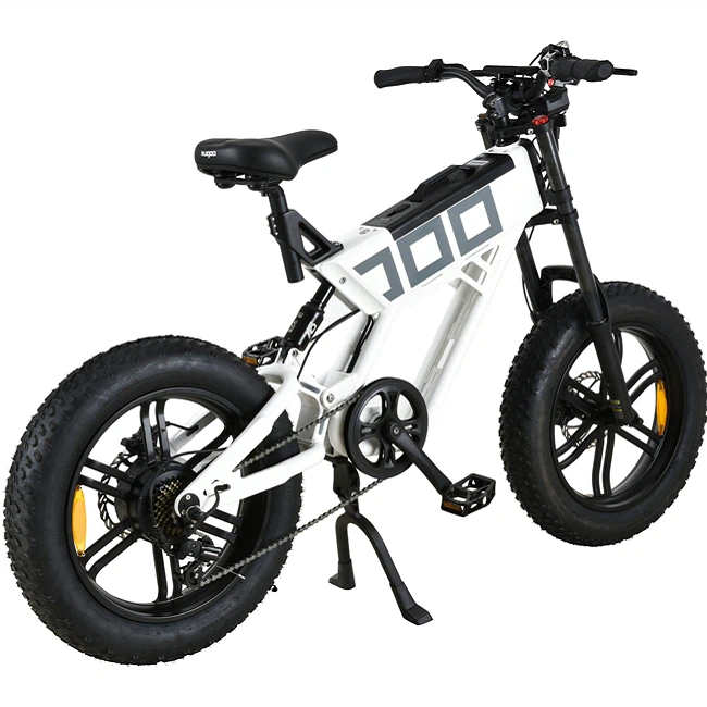 20 Inch Sport Electric Bike